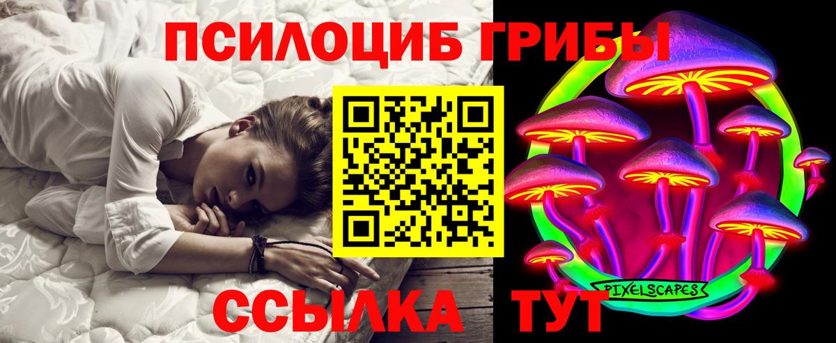 Видное  Галлюциногенные грибы Psilocybine cubensis  Вход с VPN 